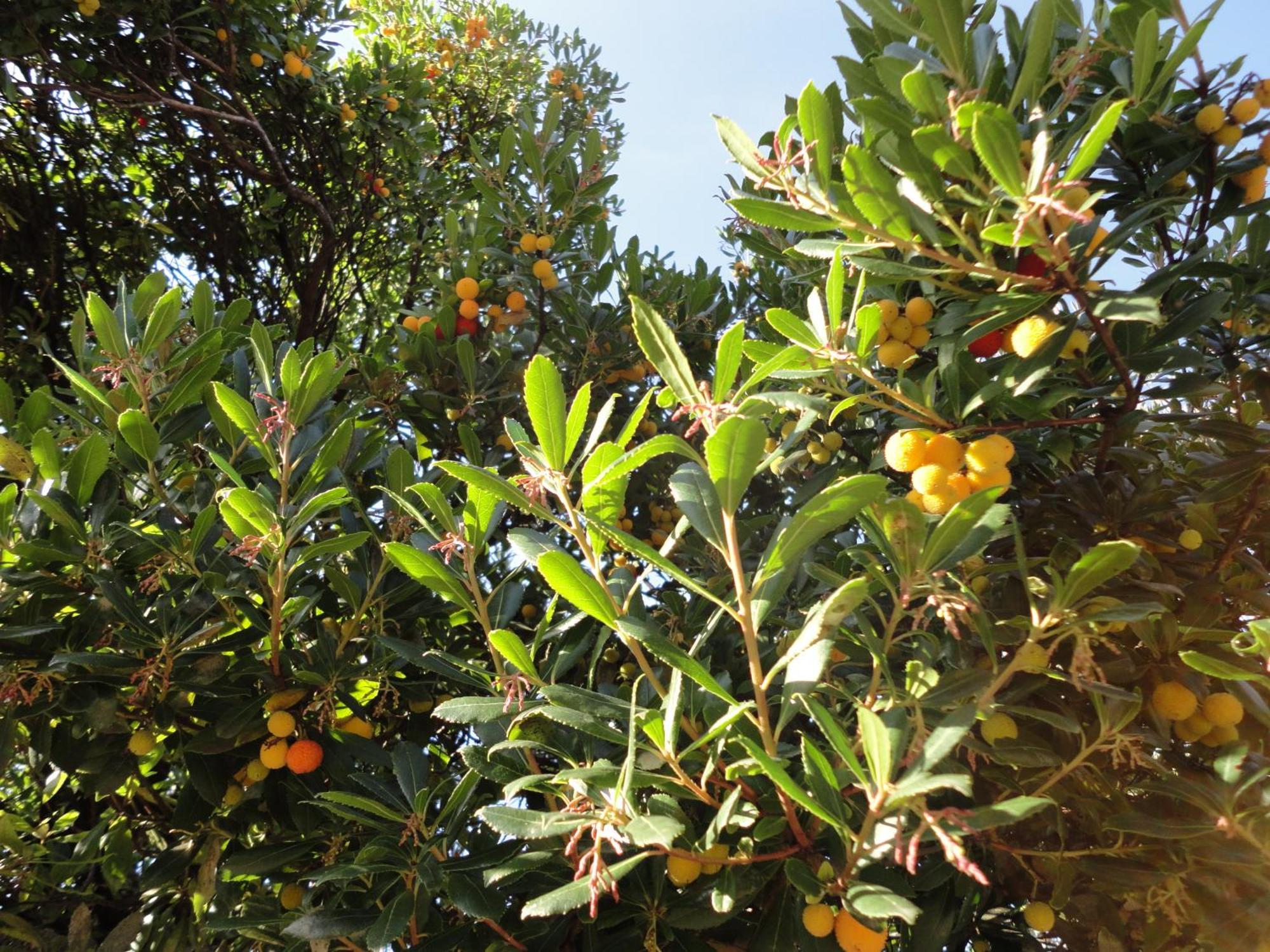 Ferienwohnung Maderno Affoltern Am Albis Εξωτερικό φωτογραφία